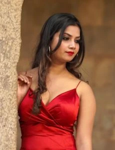 call girl service in Sankarankovil